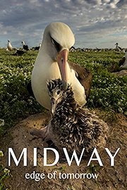 Midway: Edge of Tomorrow