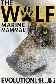 The Wolf: Marine Mammal Evolution Unfolding