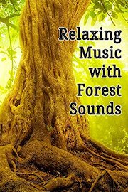 Relaxing Music with Forest Sounds