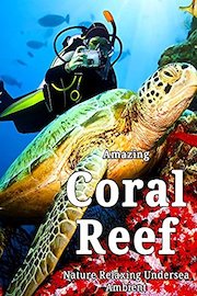 Amazing Coral Reef Nature - Relaxing Undersea Ambient