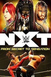 WWE: NXT: From Secret to Sensation