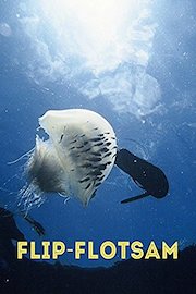 Flip-Flotsam