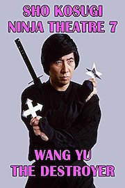 Sho Kosugi Ninja Theater 7 Wang Yu The Destroyer