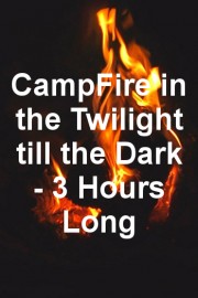 CampFire in the Twilight till the Dark - 3 Hours Long