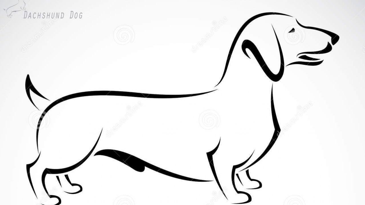 Art Time! Learn Drawing and Coloring with Video Tutorial Lessons Dachshund