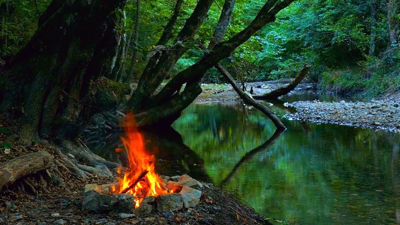 Campfire by the River - Relaxing Fireplace and Nature Sounds