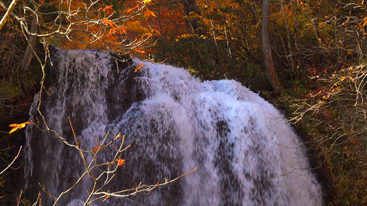 Healing Sounds of Nature Autumn Waterfall Sleep Sounds and Video Calming Nature Healing Mind