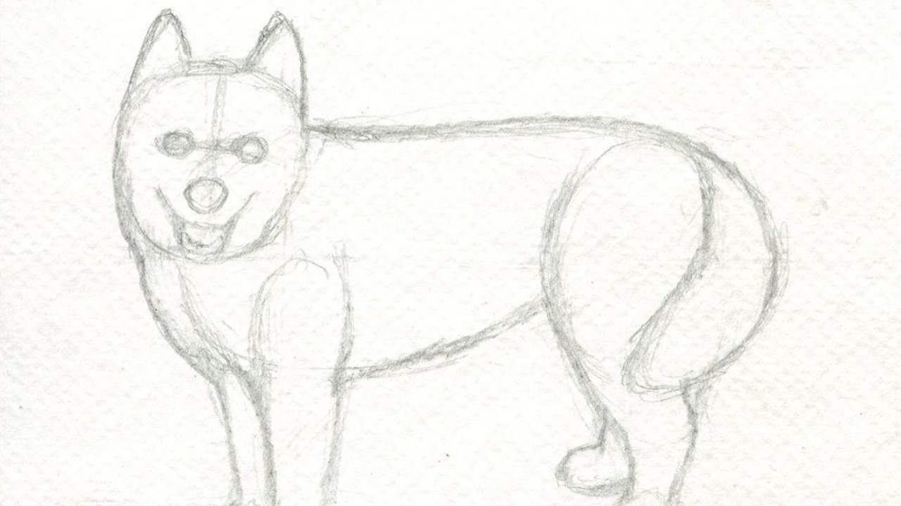 Art Time! Learn Drawing and Coloring with Video Tutorial Lessons Husky