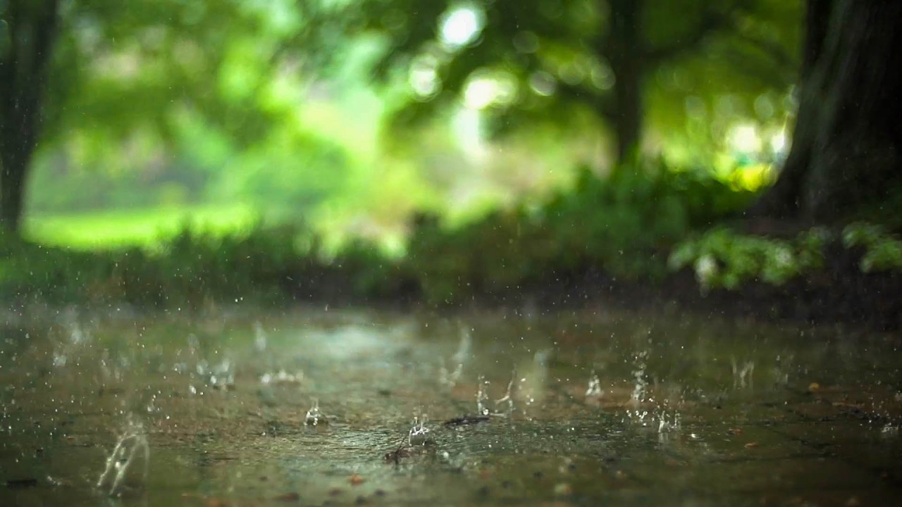 Peaceful Rain Sounds for Relaxation and Meditation