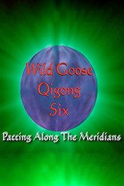 Wild Goose Qigong VI - Patting along the Meridians with Dr. Hu
