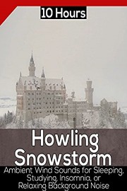Howling Snowstorm: 10 Hours, Ambient Wind Sounds for Sleeping, Studying, Insomnia, or Relaxing Background Noise