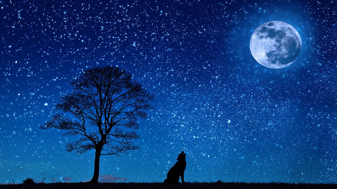 Ambient Moonlit Night