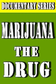 Marijuana The Drug