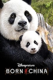Disneynature: Born in China