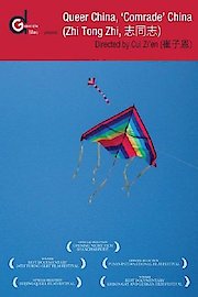 Queer China, 'Comrade' China