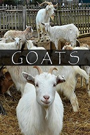 Goats