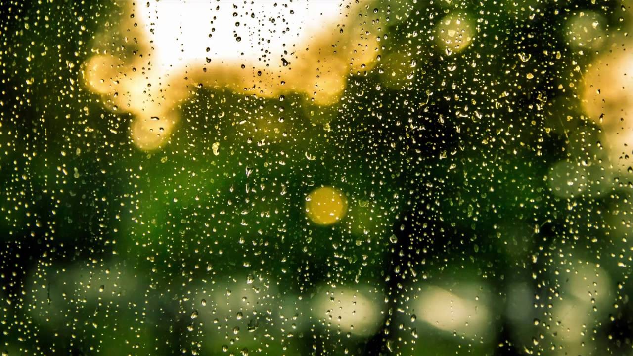 Peaceful Rain for Meditation and Relaxation 6 Hours