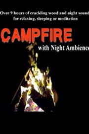 Campfire with night ambience