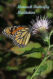 Monarch Butterfly Meditation