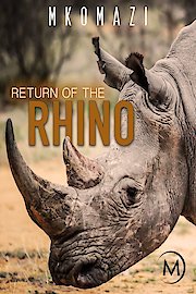 Mkomazi: Return of the Rhino