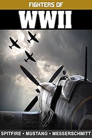 Fighters of WWII: Spitfire, Mustang, and Messerschmidt