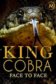 King Cobra: Face to Face