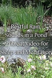 Restful Rain Sounds in a Pond Ambient Video for Sleep and Meditation