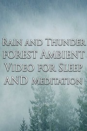 Rain and Thunder Forest Ambient Video for Sleep and Meditation