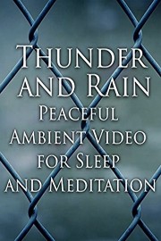 Thunder and Rain Peaceful Ambient Video for Sleep and Meditation