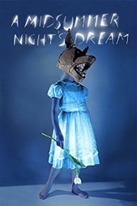 A Midsummer Night's Dream