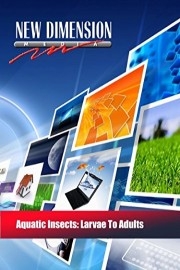 Aquatic Insects: Larvae To Adults