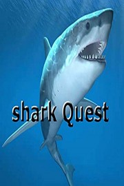 Shark Quests