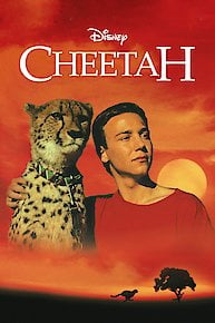 Cheetah