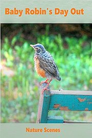 Baby Robin's Day Out