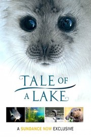 Tale of a Lake