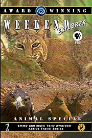 Weekend Explorer - Animal Special