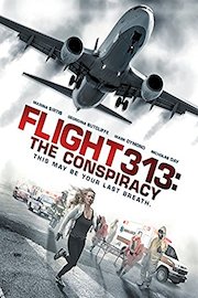 Flight 313: The Conspiracy