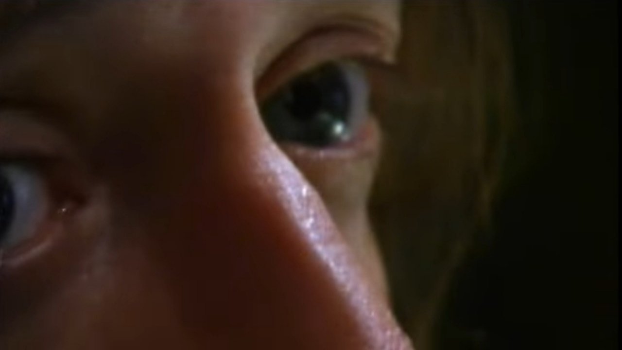 A Bookshelf on Top of the Sky