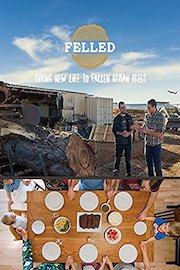 Felled: Giving new life to fallen urban trees.