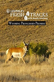 Wyoming Pronghorn Promise