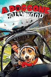A Doggone Hollywood