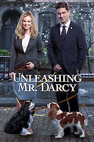 Unleashing Mr. Darcy