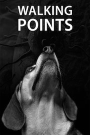 Walking Points