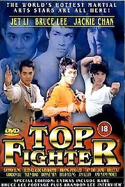 Top Fighter
