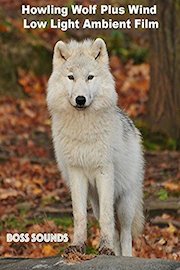 Howling Wolf Plus Wind Low Light Ambient Film