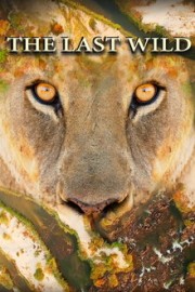 The Last Wild
