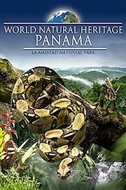 World Natural Heritage Panama - La Amistad National Park