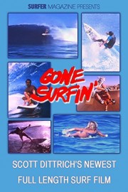 Gone Surfin'