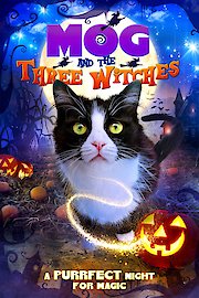 Moo Moo and The Three Witches