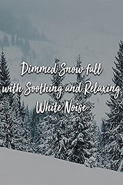 Dimmed Snow fall with Soothing and Relaxing White Noise